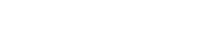 the vidya foundation